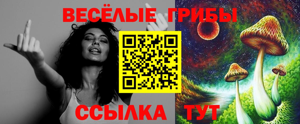 Галлюциногенные грибы ЛСД Тара