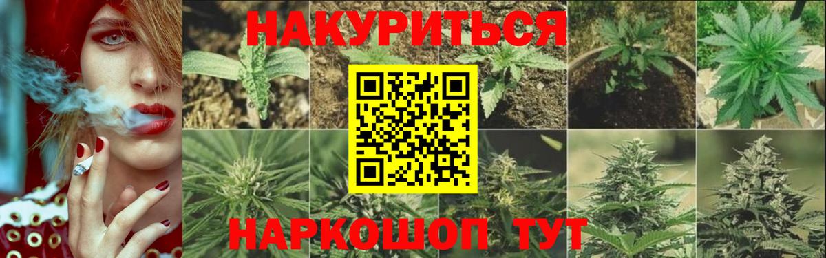 Канабис индика  Конопля SATIVA & INDICA  Канабис планчик  Тара  Бошки Шишки планчик  Вход с VPN 